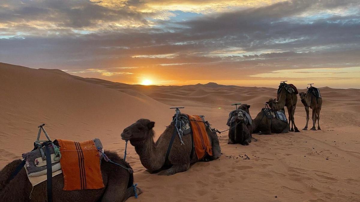 Chegaga Desert Trips M’hamid El Ghizlane Exterior foto